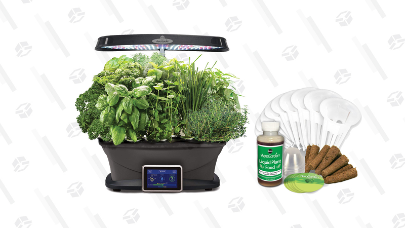 Gold Box de Amazon en AeroGarden Bounty | AmazonGráfico: Tercius Bufete